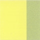 217 Permanent Lemon Yellow Light - Amsterdam Expert 150ml